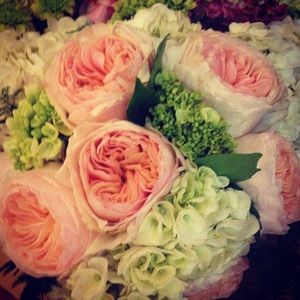 Meet your Posher, Pensi